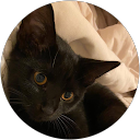 Claudia profile picture